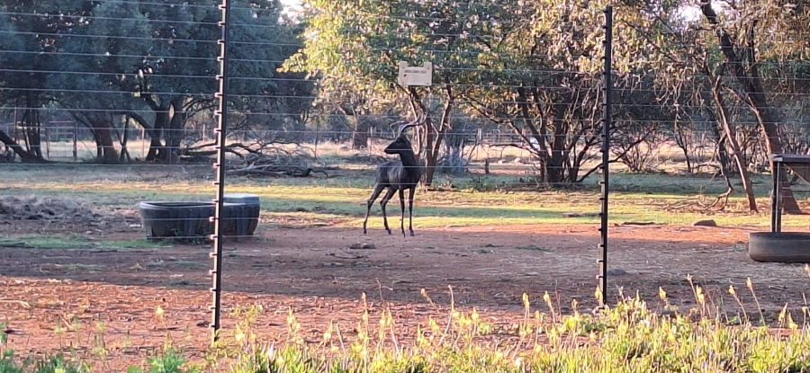 5 Bedroom Property for Sale in Koster North West